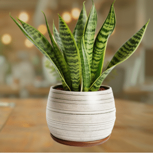 StoneLeaf Planter